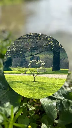 Les Murmures de l'Amour à Fléré-la-Rivière, photo 6