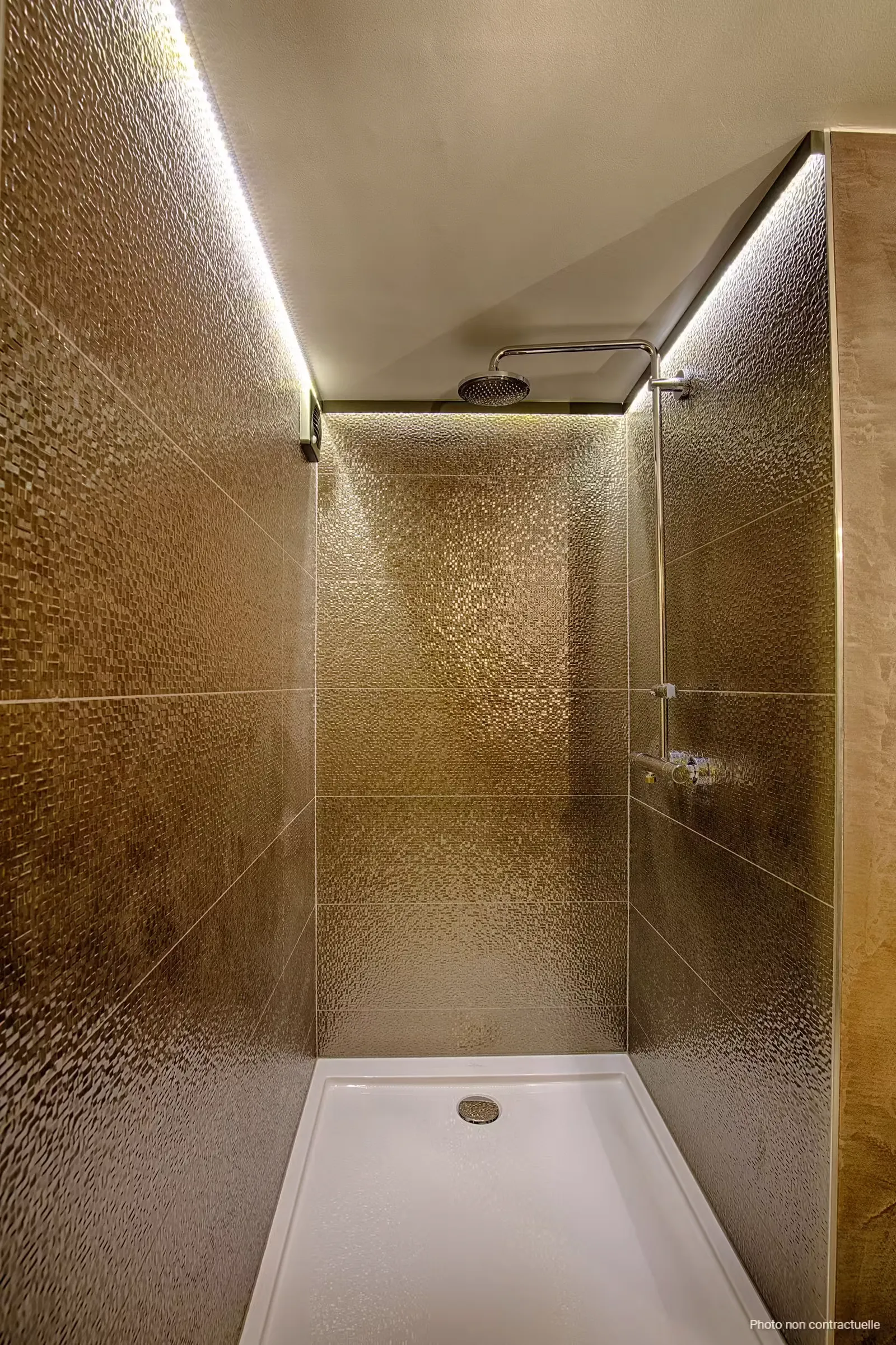 Suite Marquise de Sélys à Chaudfontaine, photo 6