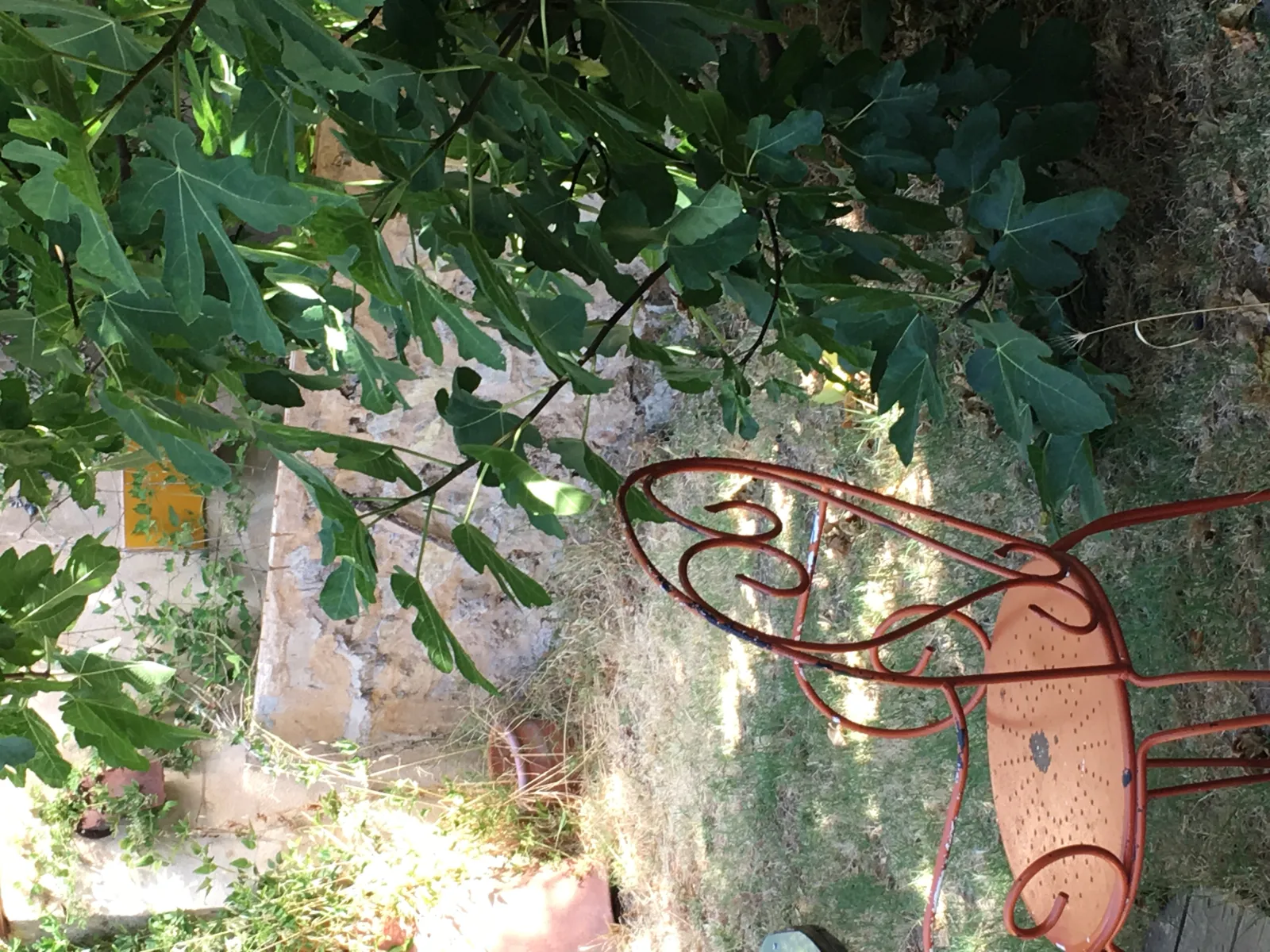 Cabane Romantique du Jardin à Barjols, photo 6