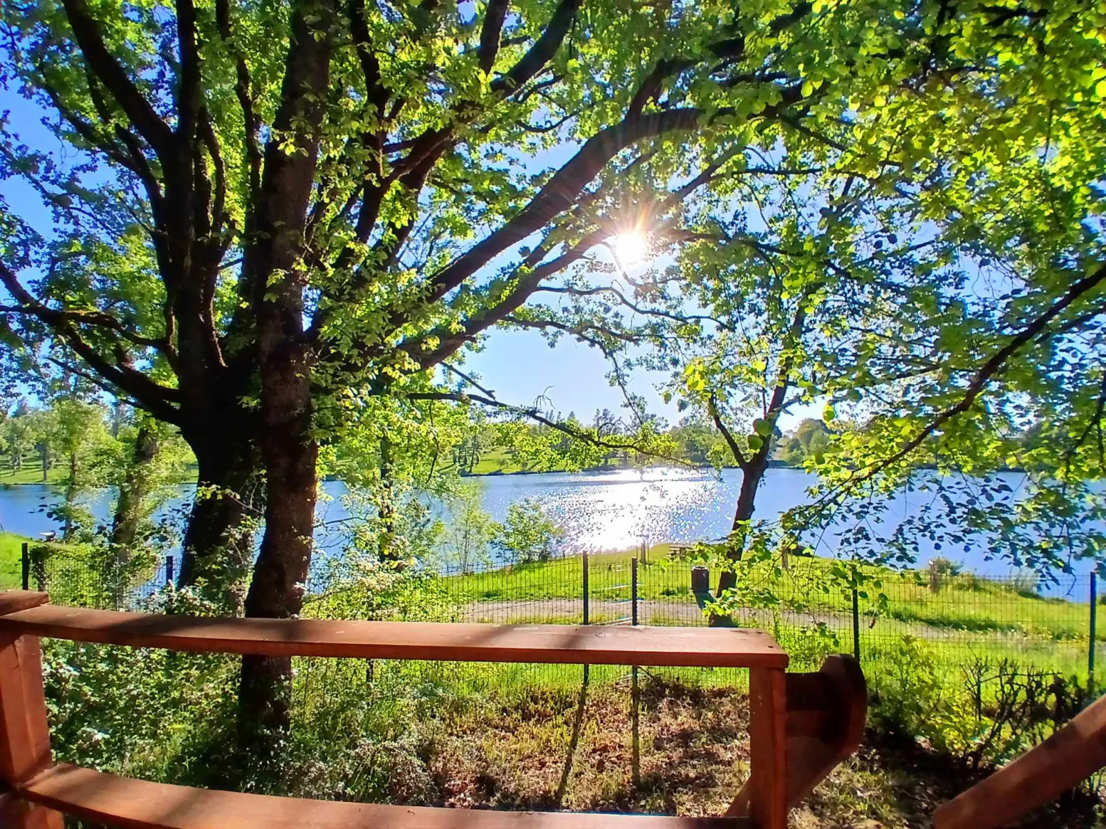 Pilotis du lac à Rabastens, photo 2