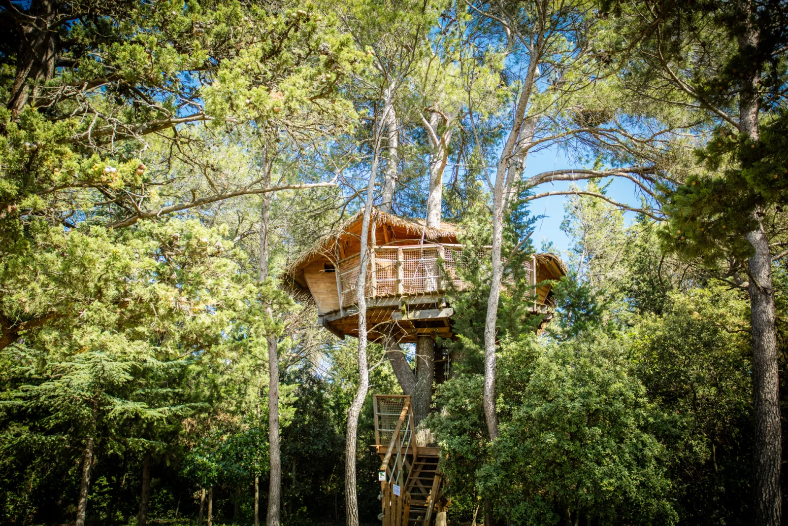 Cabane Tourterelle, cabane à Castries
