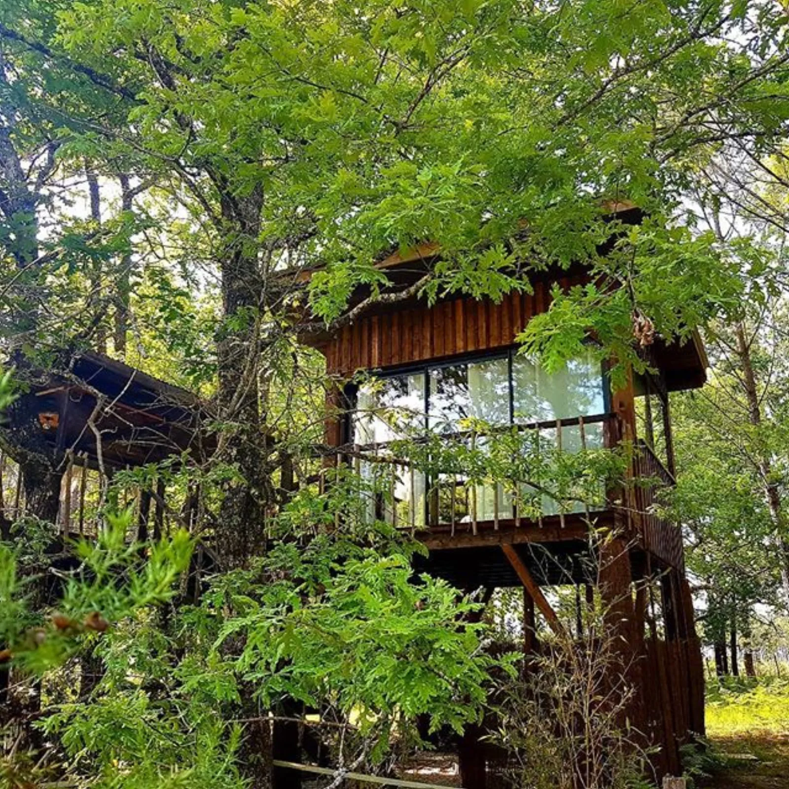 Cabane Les Landines à Origne, photo 4