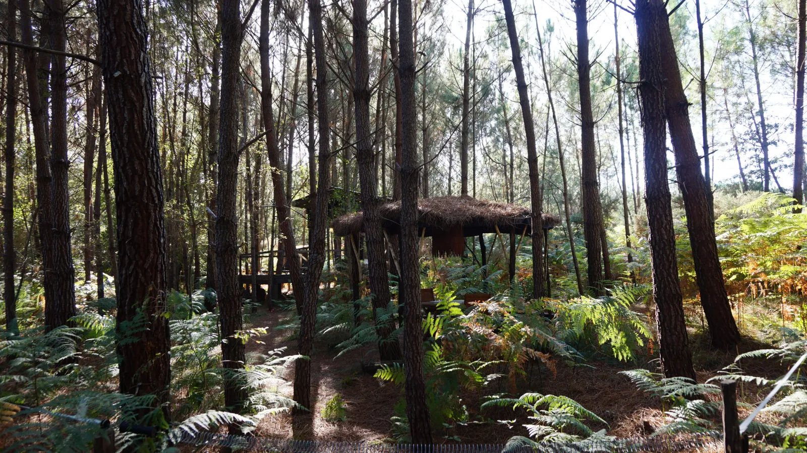 Cabane Les Landines à Origne, photo 6