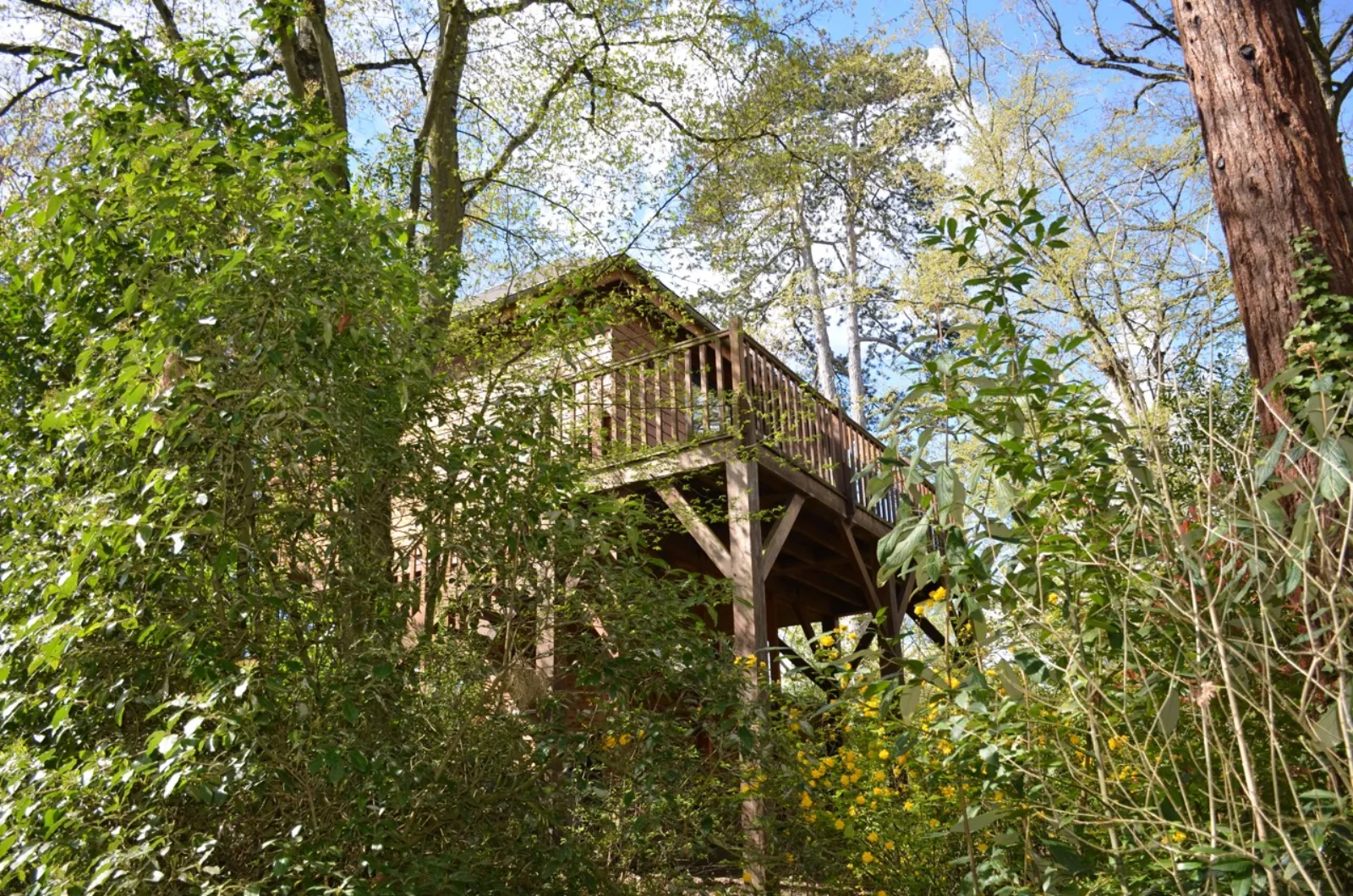 Cabane du Manoir du Parc à Amboise, photo 3