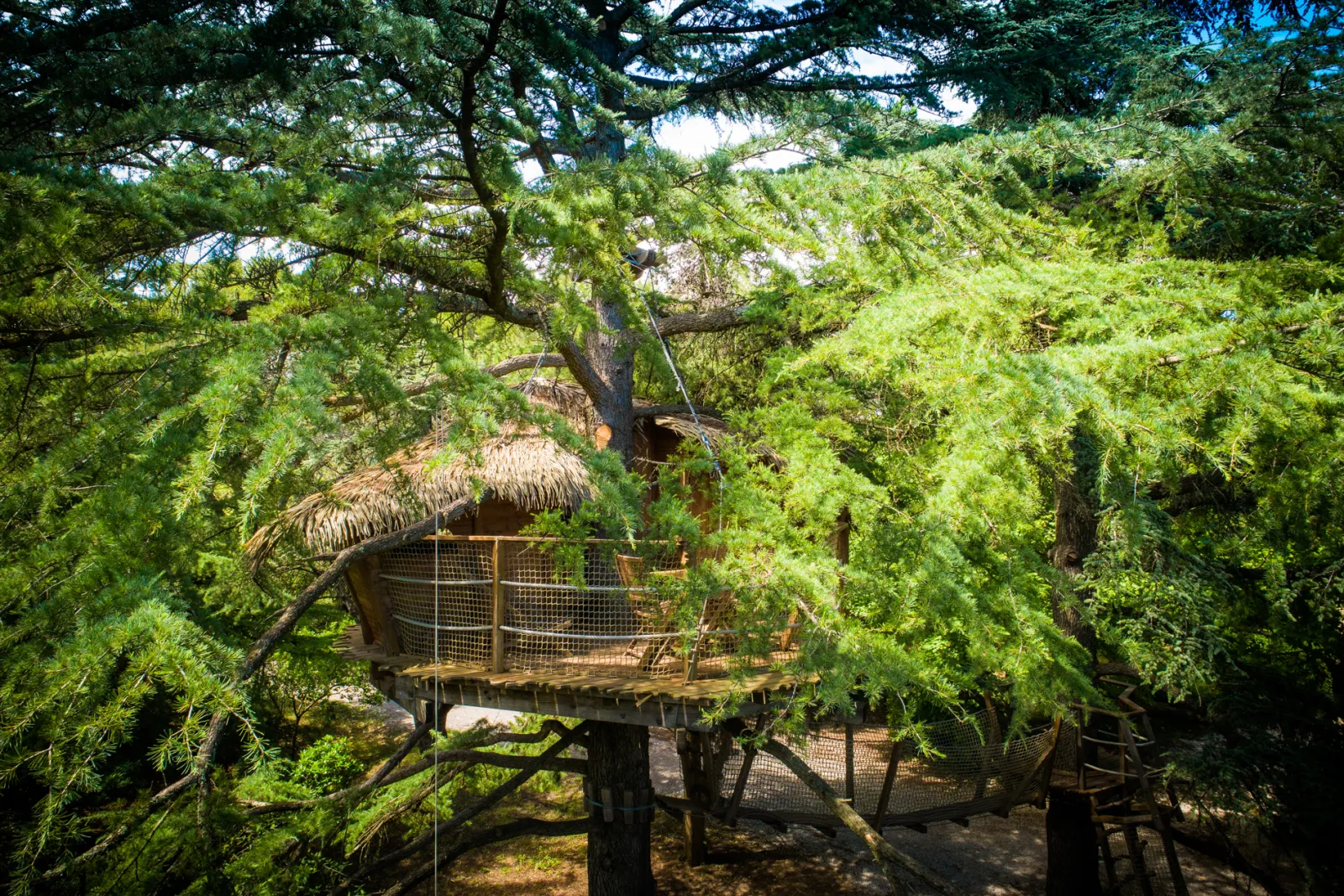Cabane Grand Duc, cabane à Castries