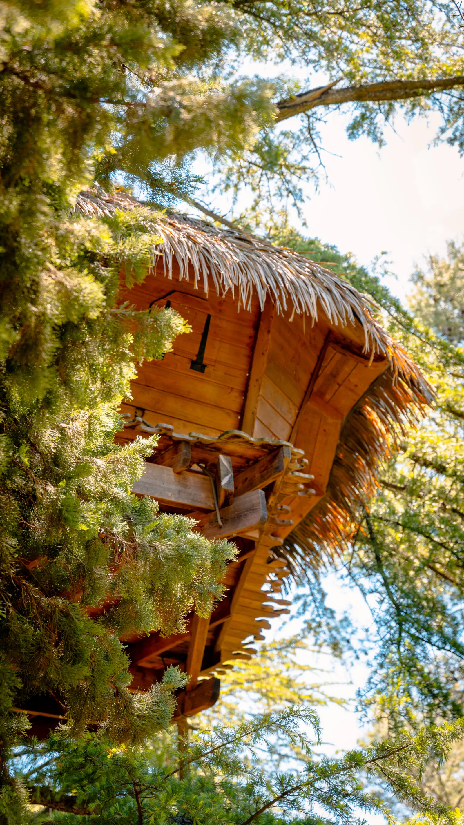 Cabane Grand Duc à Castries, photo 6