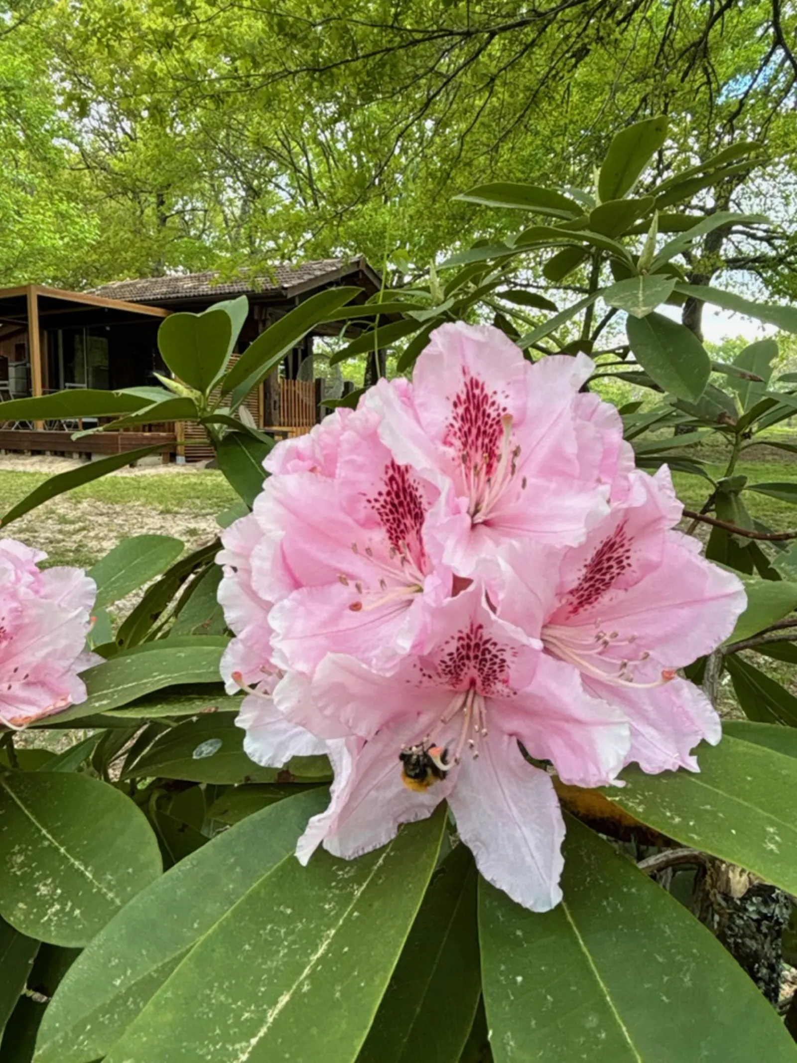 Chalet Romantique & Spa à Marions, photo 2